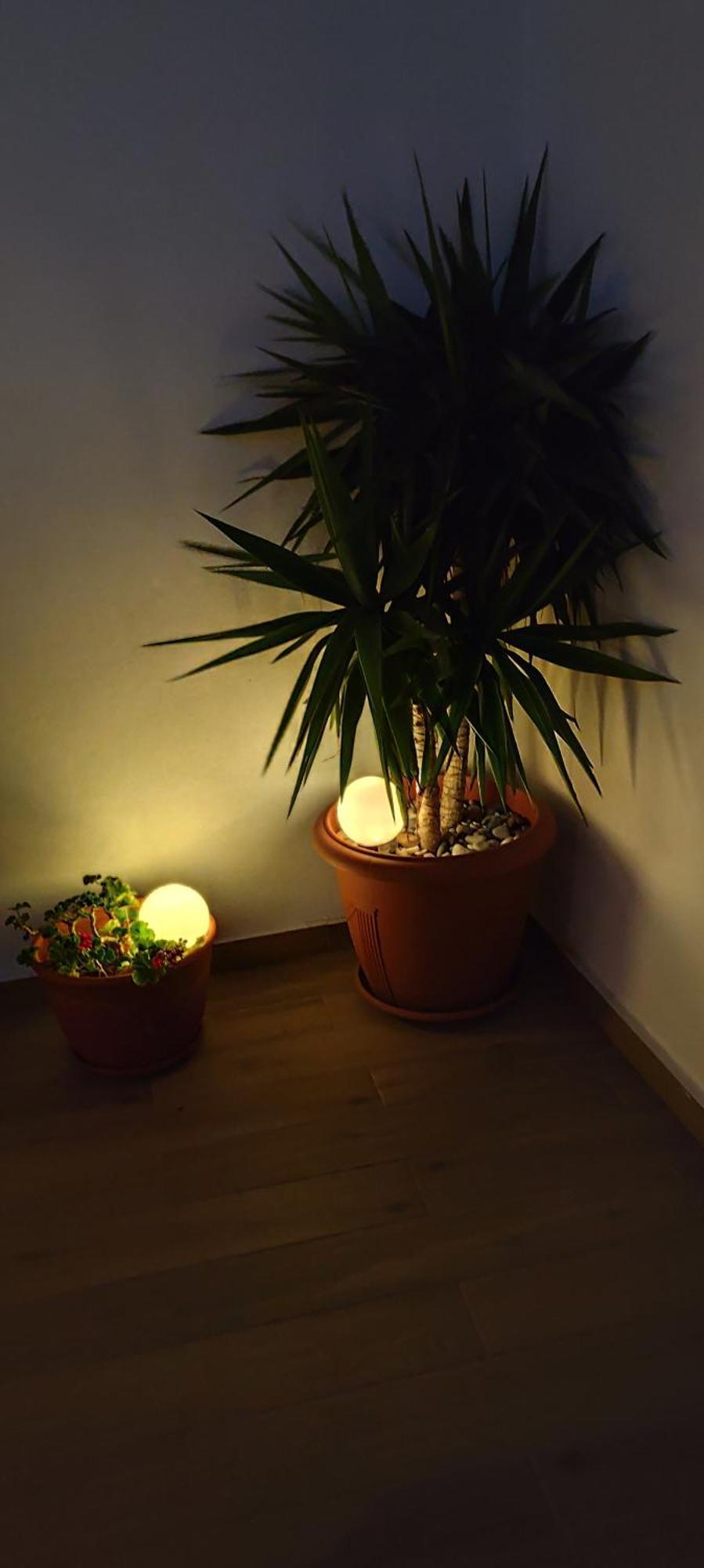 Central Apartment Near The Beach With Huge Private Terrace 루트라키 외부 사진